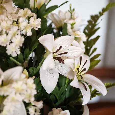 Mallus 4 Posti Letto Apartamento Olia Speciosa