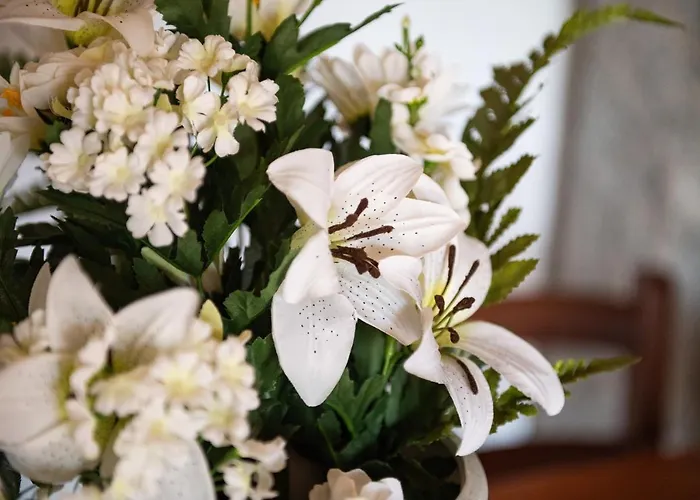 Mallus 4 Posti Letto * Olia Speciosa